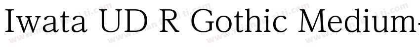 Iwata UD R Gothic Medium字体转换